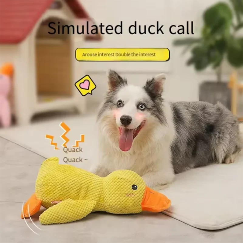 Hug Duck Plush Toy – Interactive Fun for Cats & Dogs