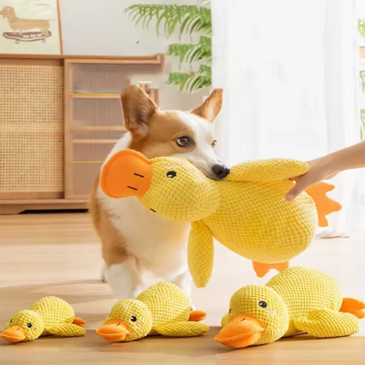 Hug Duck Plush Toy – Interactive Fun for Cats & Dogs