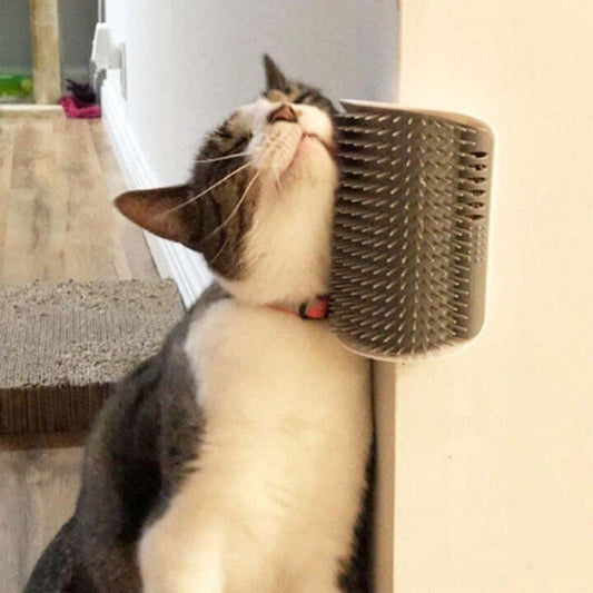 Self-Grooming Brush for Cats