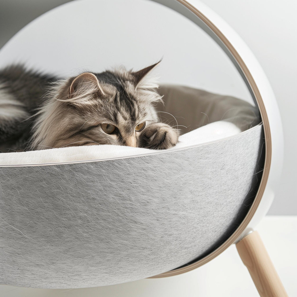 Cat Play – Fun toys and accessories