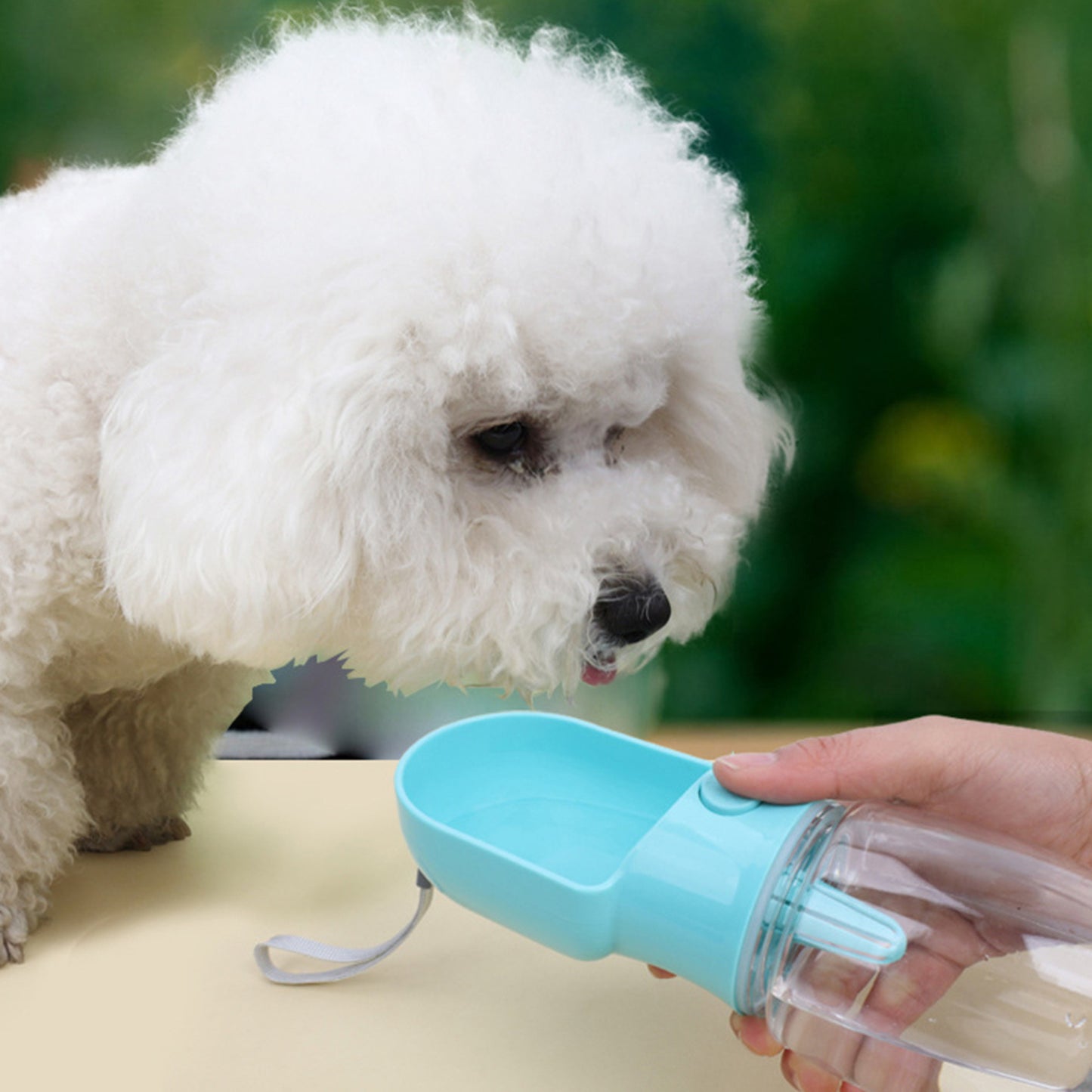 2-in-1 Portable Pet Bottle – Water & Food Dispenser - Lumux 