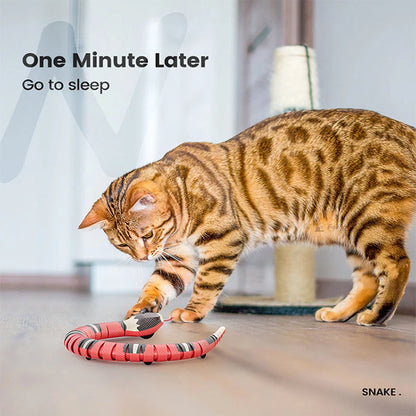 USB Smart Snake Cat Toy – Interactive Play