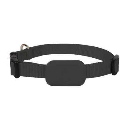 Mini GPS Pet Tracker – Anti-Lost Collar for Dogs & Cats