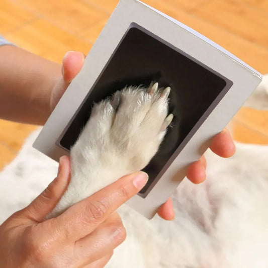 Paw Print Clean Touch Ink Pad – Dogs & Cats Keepsake Kit