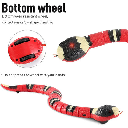 USB Smart Snake Cat Toy – Interactive Play
