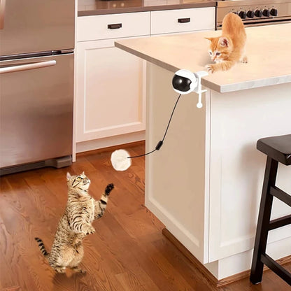 Electric Motion Cat Toy – Interactive Teasing Ball