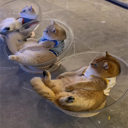 capsule-cat bed removable hammock all season