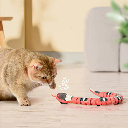 USB Smart Snake Cat Toy – Interactive Play